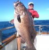 Seansurfy's Bass Grouper